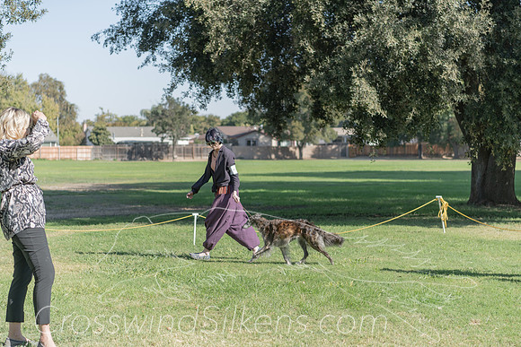 DSC_6827